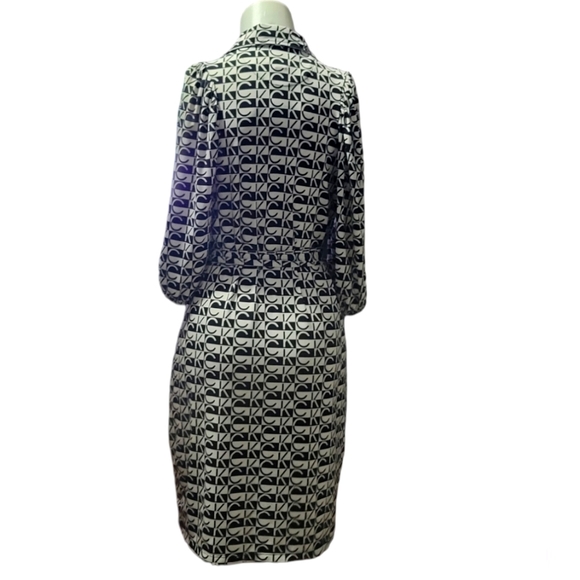 Women's Dress - Picture 2 of 3